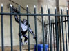 Street Art, Paris by ( E )lias junior, foto Eric Marechal