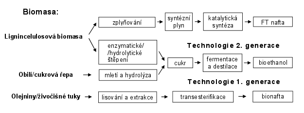 Bipaliva Rozdělení