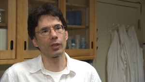 http://www.mcgill.ca/sustainability/channels/news/mcgill-professor-anthony-ricciardi-plastic-microbeads-st-lawrence-river-239251